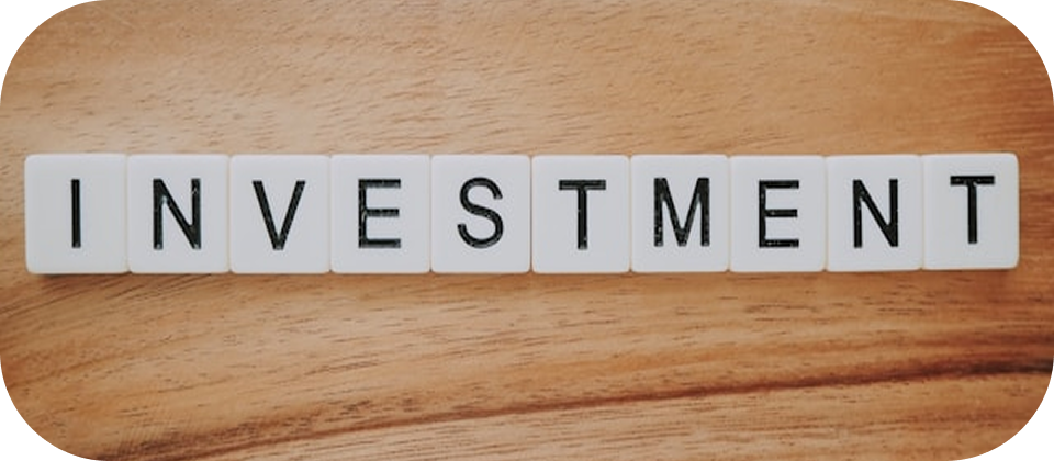 보험이 죽은 자산이라고? 당신만 몰랐던 보험 투자 시장