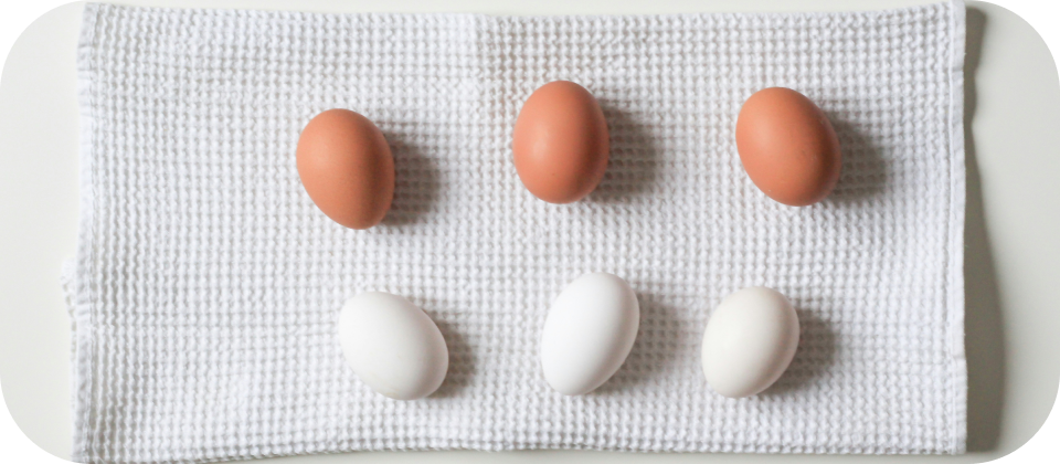 연금저축과 연금보험