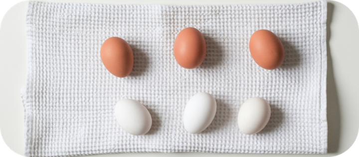 연금저축과 연금보험